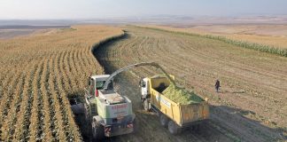 ABB’den yüzde 100 hibe yem desteği ABB’den yüzde 100 hibe yem desteği