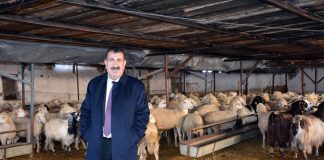 “Yem desteği için acilen ek bir Kararname çıkarılmalıdır”
