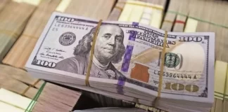 Dolar 120 TL olur mu? dolar-TL