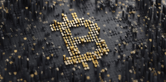 2024’te yükselmesi beklenen 5 kripto para 2024'te yükselmesi beklenen 5 coin