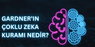 Gardner Çoklu Zeka Kuramı Nedir? Çoklu Zeka Kuramı