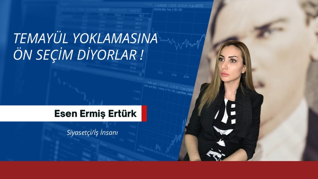 Esen Ermiş Ertürk